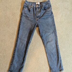 Agolde Women's Straight Leg Jeans - Blue